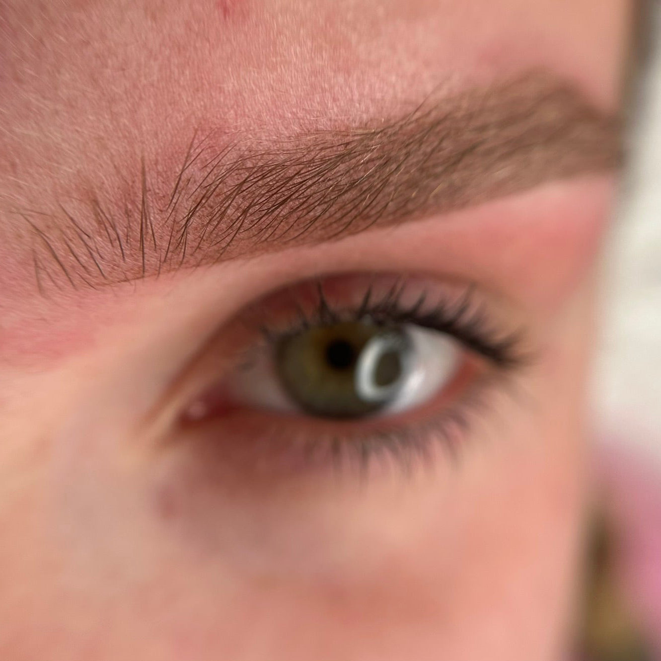 Masterclass Powderbrows