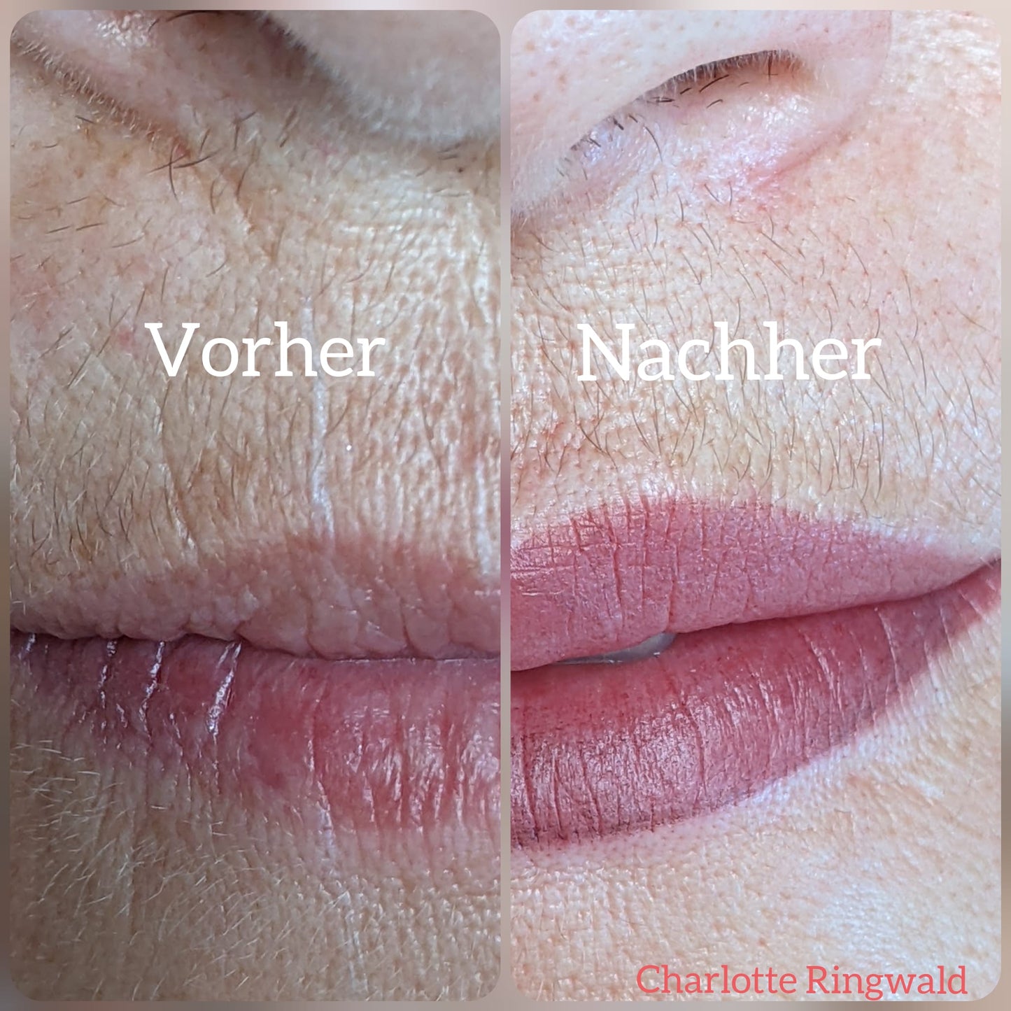 Basisschulung im Studio