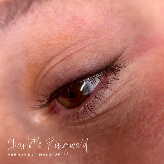 Perfektionstraining im Studio