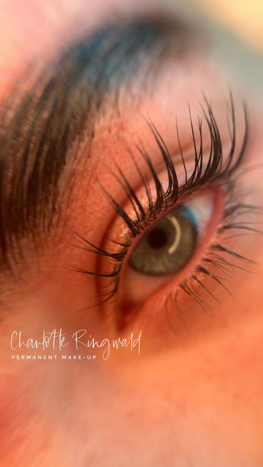 Basisschulung im Studio