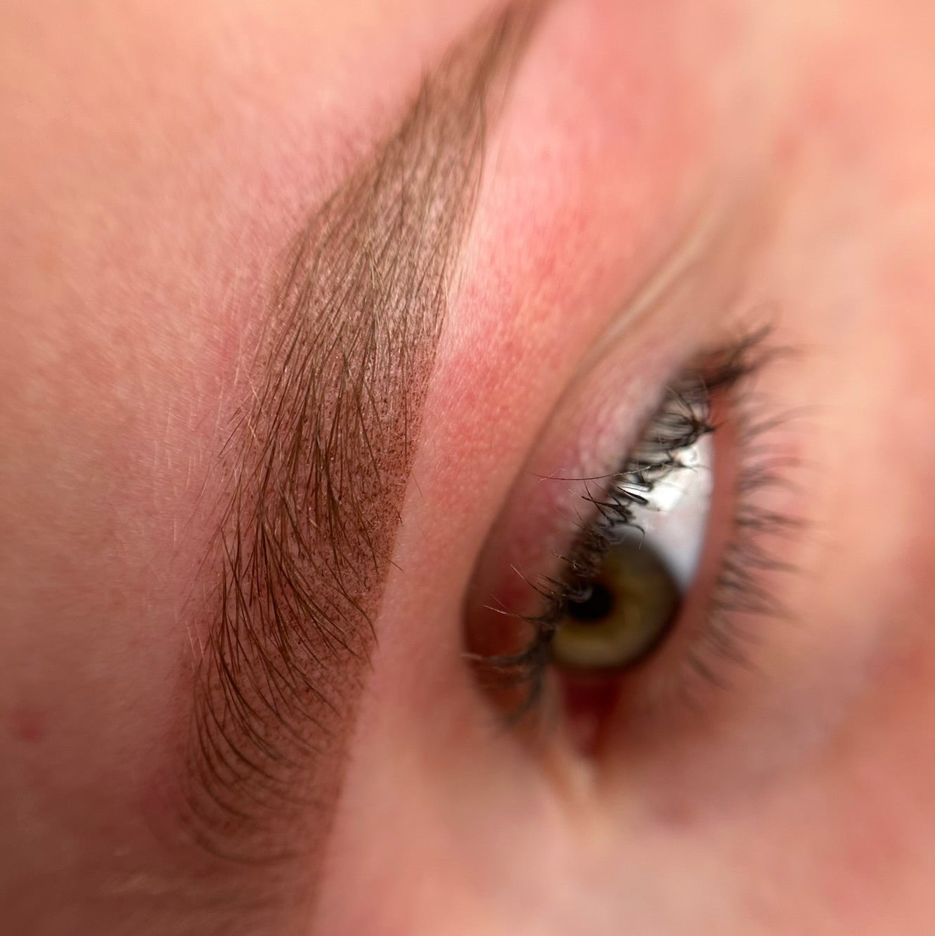 Basisschulung im Studio