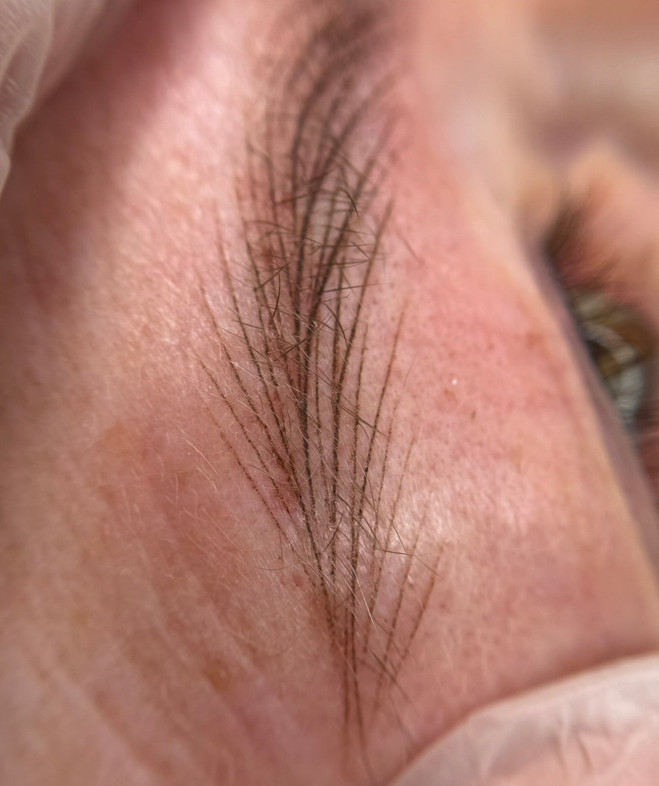 Onlineschulung Ringbrows Hairstroke Videos