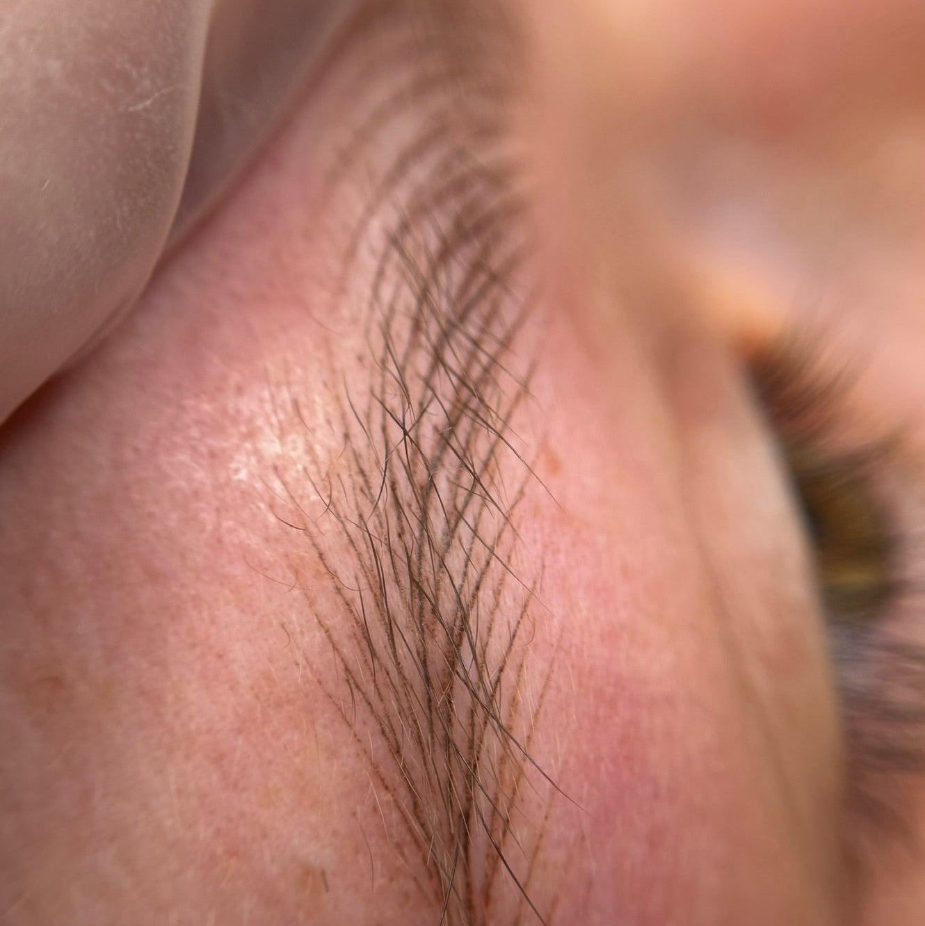 Masterclass Ringbrows
