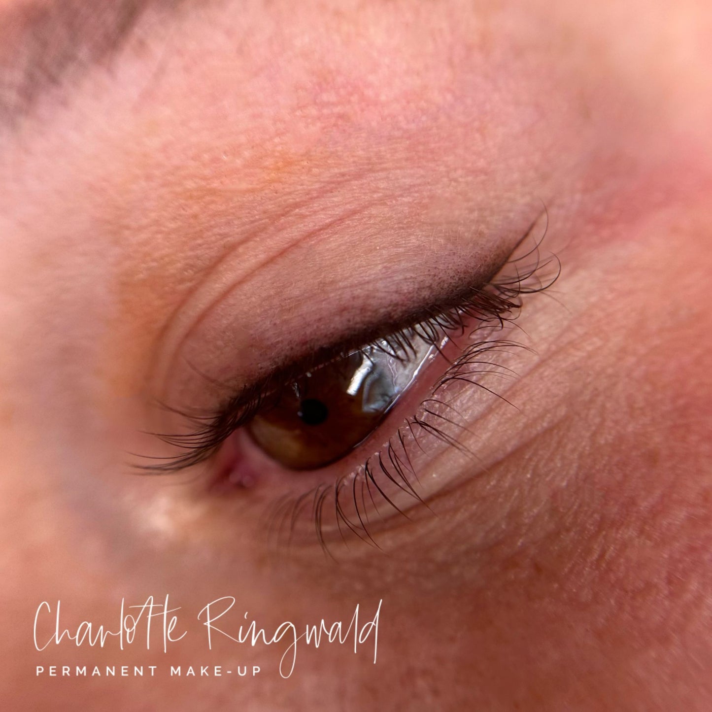 Perfektionstraining im Studio